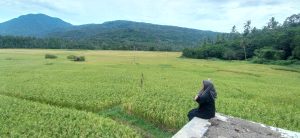 Praktik Kecurangan Distribusi Beras Rugikan Negara Rp100 Triliun 1 IMG 20250618 133819