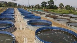 Screenshot 20251229 193816 Google