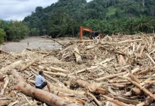 Komisi IV DPR Panggil Menhut Bahas Ribuan Kayu Gelondongan yang Hanyut Saat Banjir di Sumatra