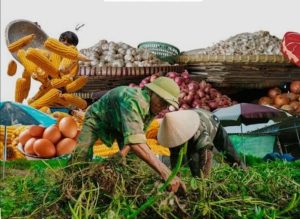 Menjaga Rantai Pasok MBG: Saatnya Pemerintah Daerah Menjadi Garda Terdepan Ketahanan Pangan dan Ekonomi Lokal 1 Screenshot 20260201 075337 Google