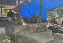KANAI PAKUOK